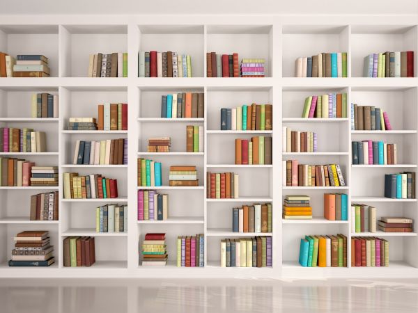 Bookshelf Assembly in Cranston